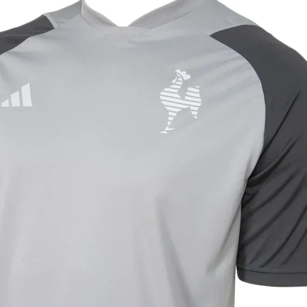 Camisa Atlético Mineiro Treino Cinza 24/25