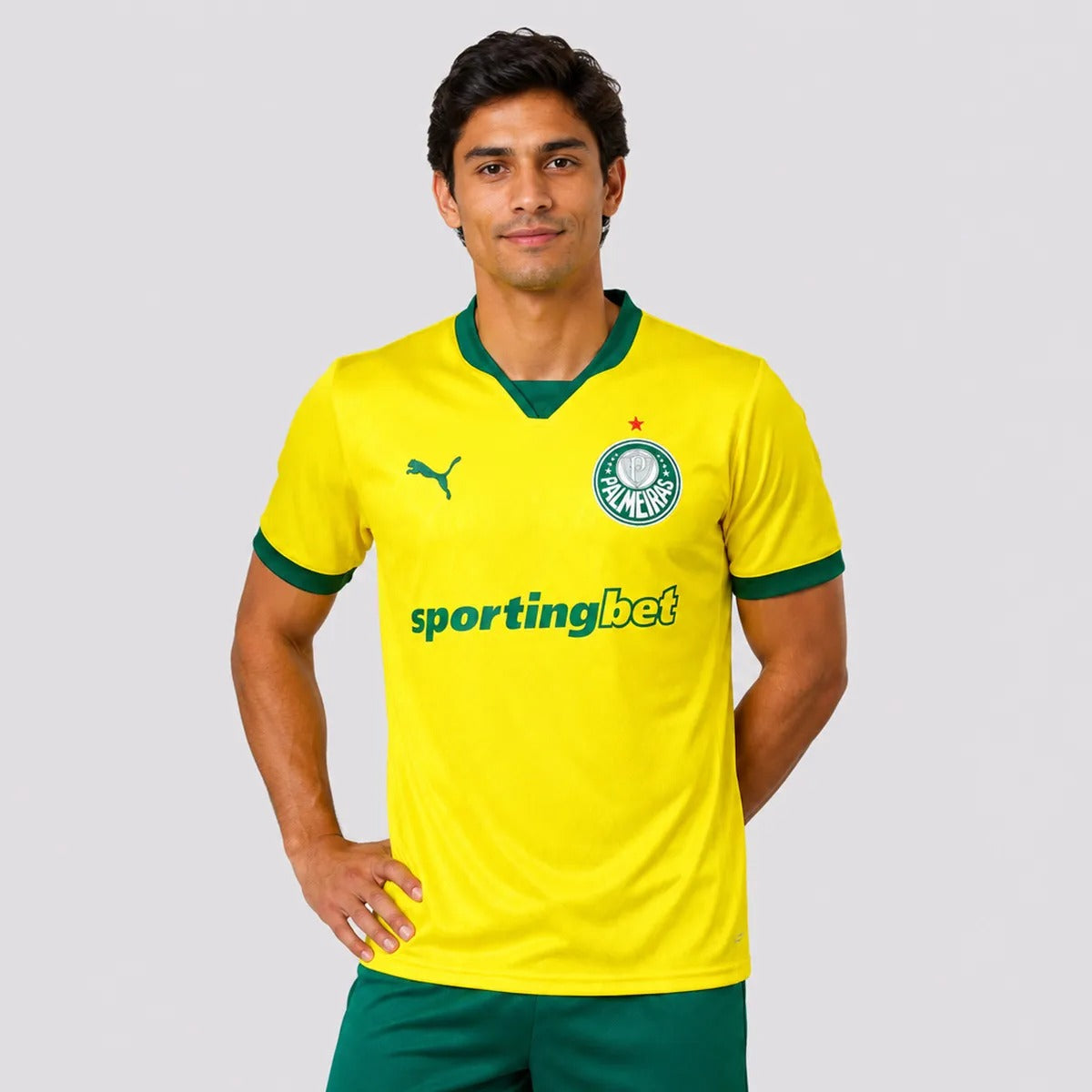 Camisa Palmeiras 2025/26 Third