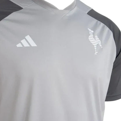 Camisa Atlético Mineiro Treino Cinza 24/25