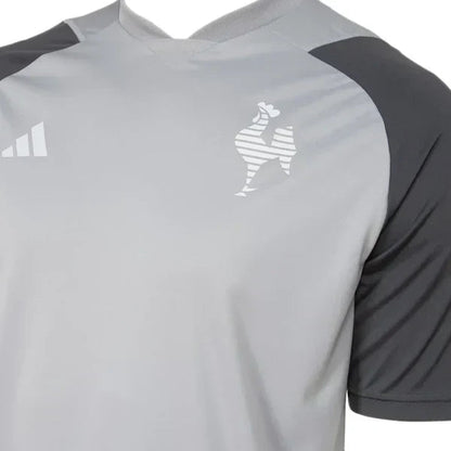 Camisa Atlético Mineiro Treino Cinza 24/25
