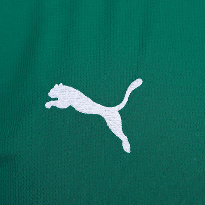 Camisa Palmeiras 2026/27 Home