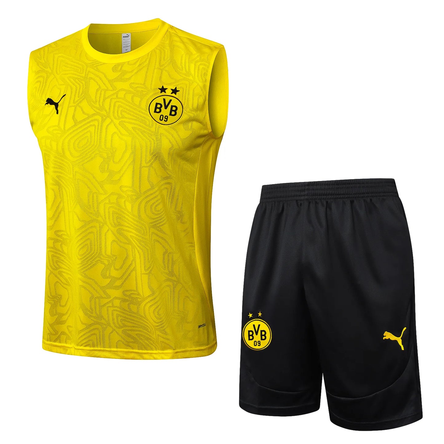 Conjunto Treino Regata Borussia Dortmund 24/25 Amarelo