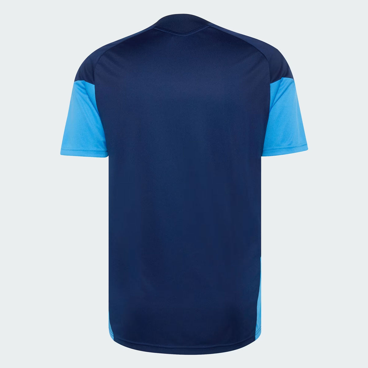 Camisa Cruzeiro 2026 Treino Comissão
