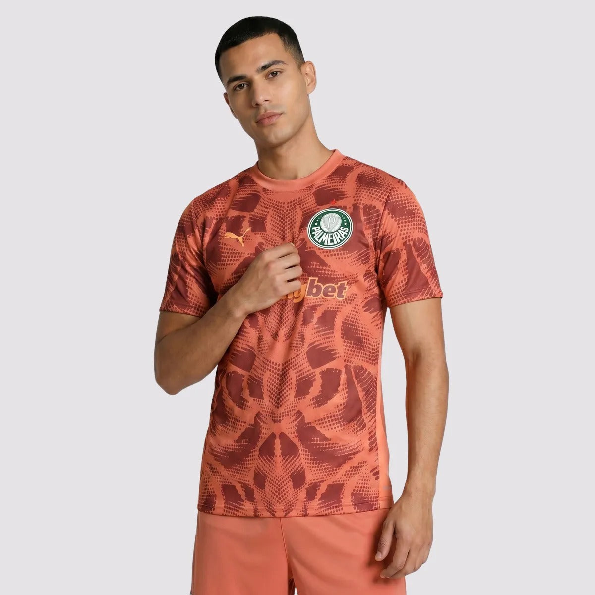 Camisa Goleiro Palmeiras 2025/26 Away