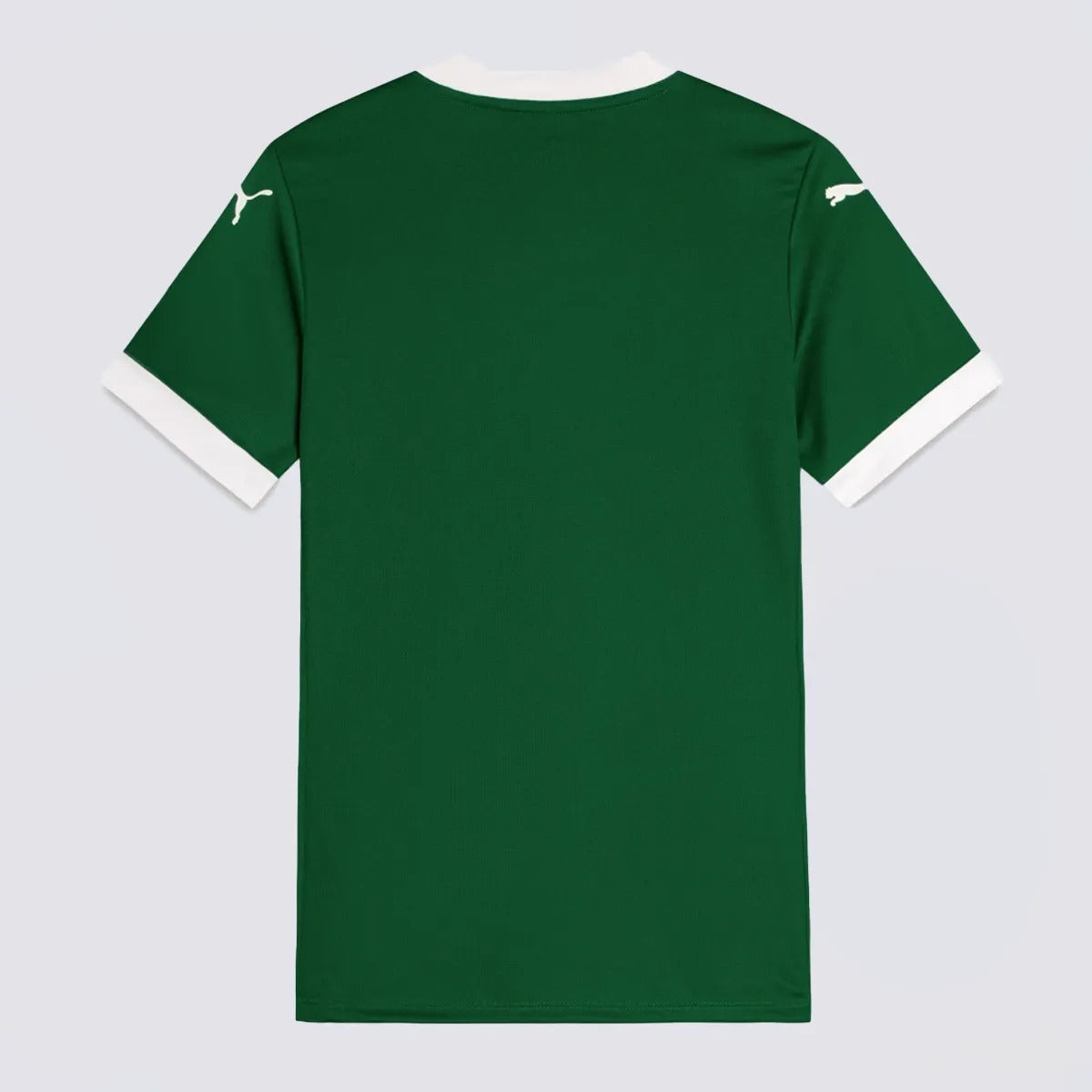 Camisa Palmeiras 2025/26 Home Feminina