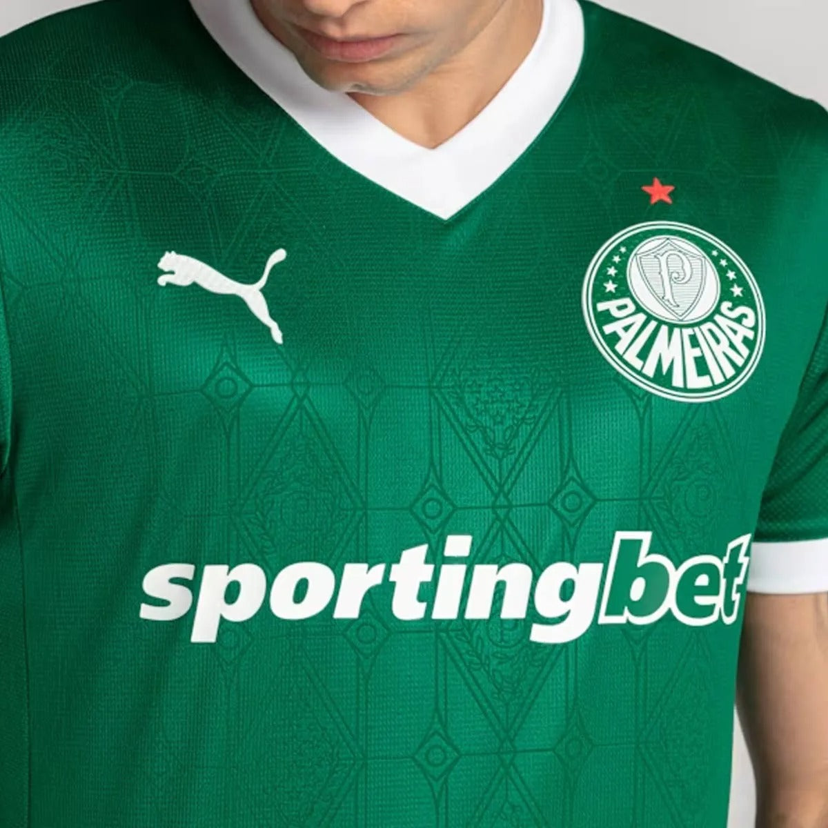 Camisa Palmeiras 2025/26 Home Jogador