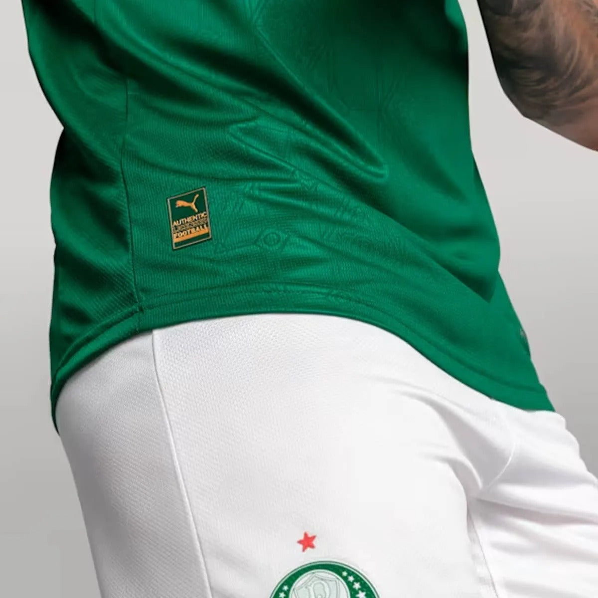 Camisa Palmeiras 2025/26 Home Jogador