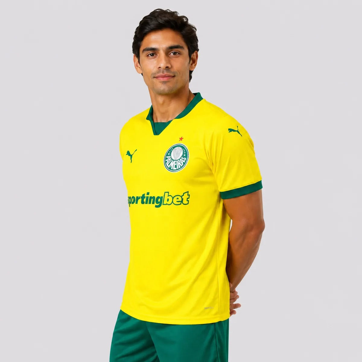 Camisa Palmeiras 2025/26 Third
