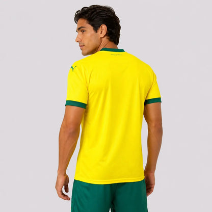 Camisa Palmeiras 2025/26 Third